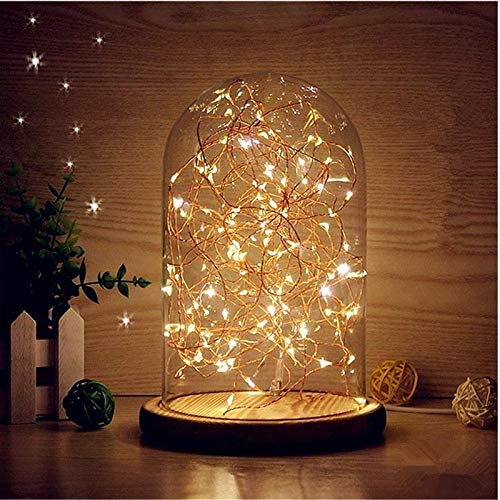 Decorative String Light